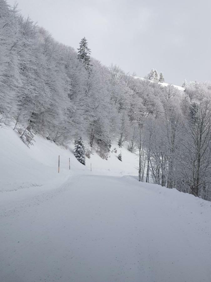 Chalet Confort Aloya Ranspach Exteriör bild